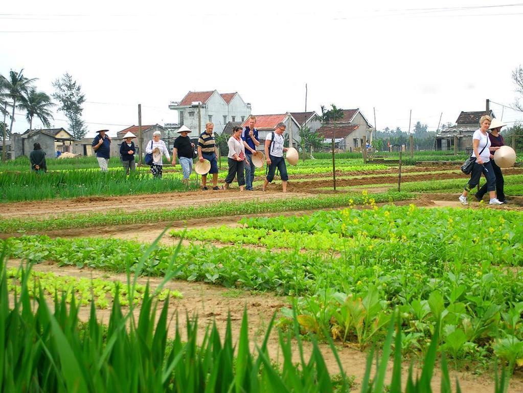 Green House Homestay Hoi An Eksteriør bilde